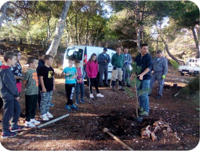 Osnovnoškolci sudjelovali u eko-akciji Zasadi drvo, ne budi panj