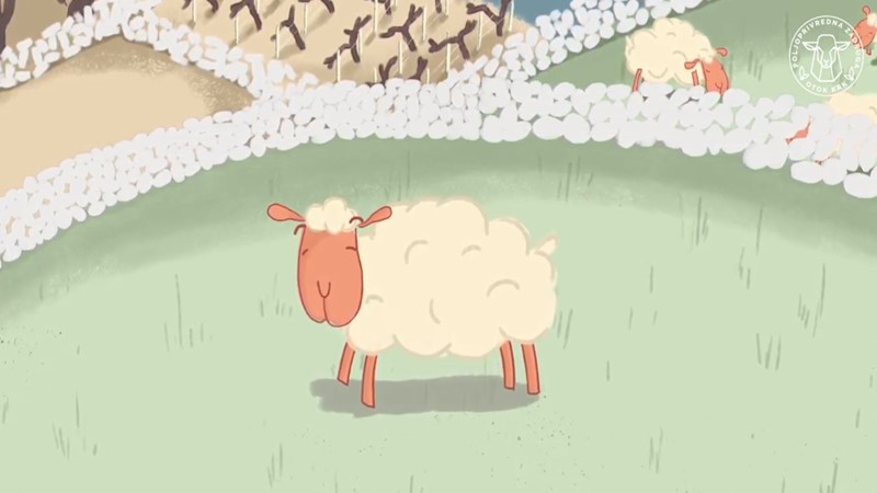 Prikupljanje i plasman ovčje vune