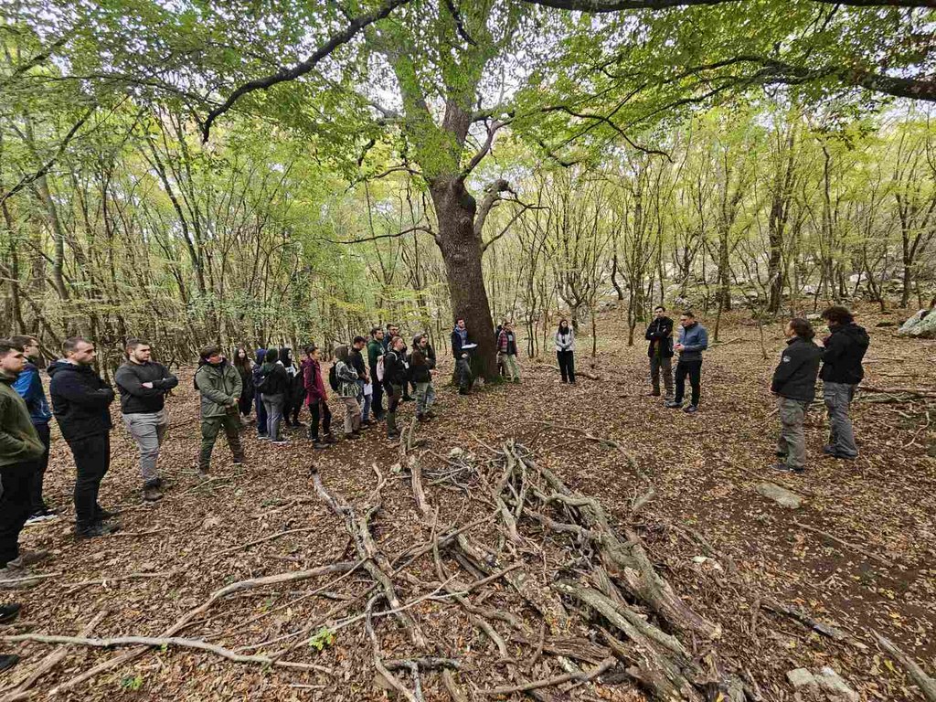 Šume Dubašnice – spoj prirodne baštine i tradicionalnih praksi kao predmet znanstvenog interesa